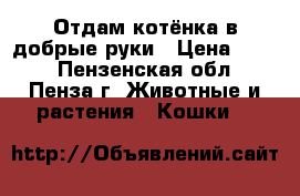 Отдам котёнка в добрые руки › Цена ­ 100 - Пензенская обл., Пенза г. Животные и растения » Кошки   